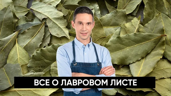 Нажми и смотри