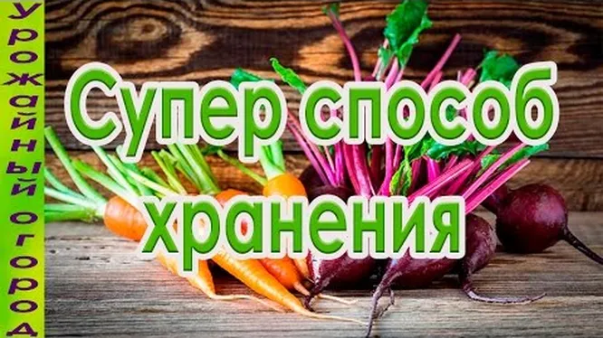 Нажми и смотри