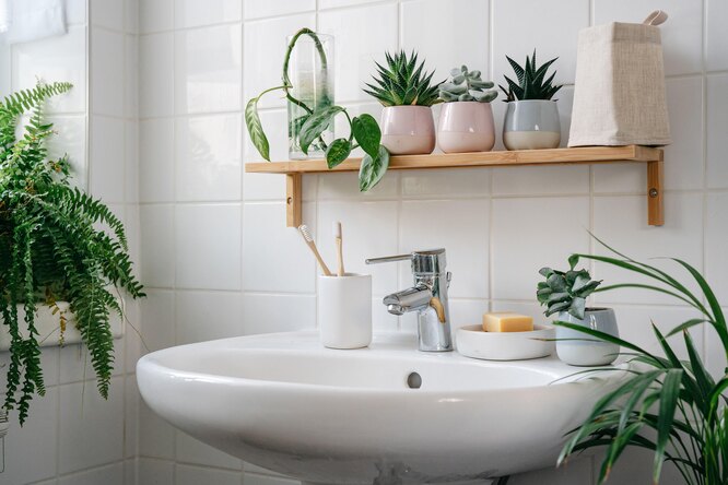 Зеленые растения и цветы в ванной комнате