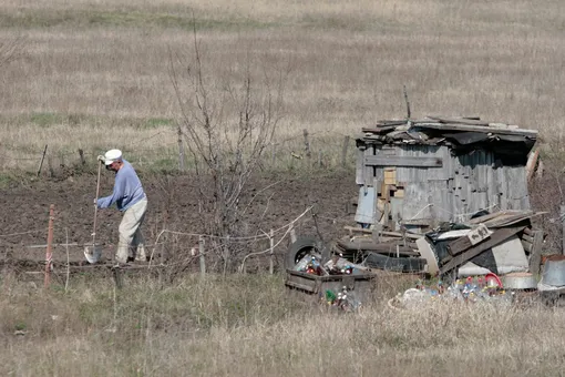 Самовольные постройки на участке подлежат сносу