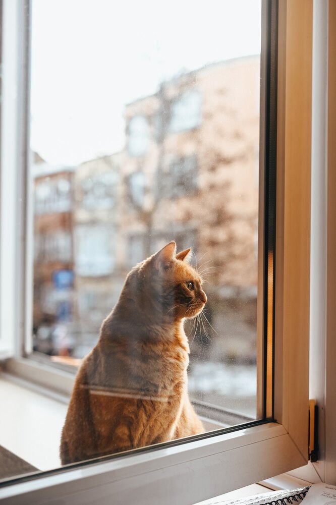 Защита на окна для детей и кошек