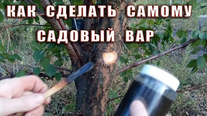 Нажми и смотри