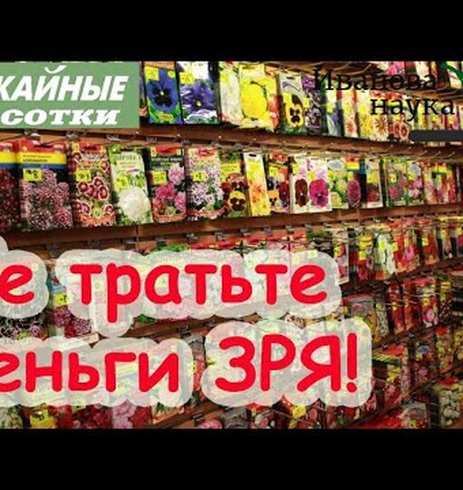 Как правильно хранить семена в городской квартире: полезные советы для дачников