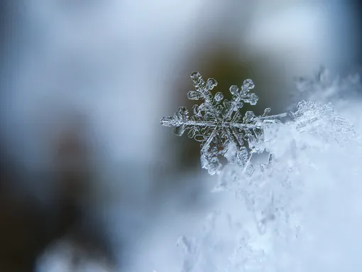 Первый снег