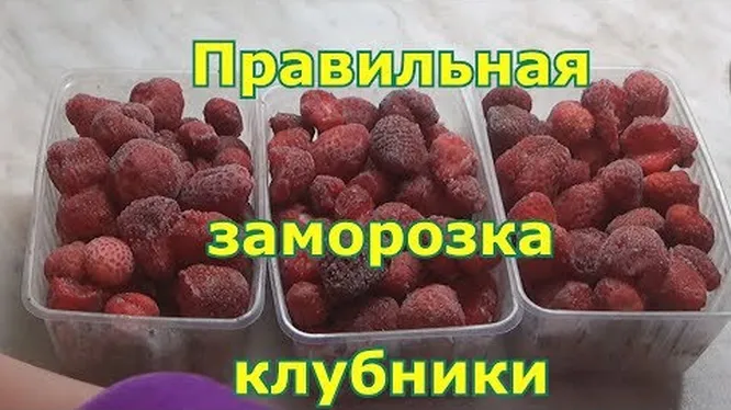 Нажми и смотри