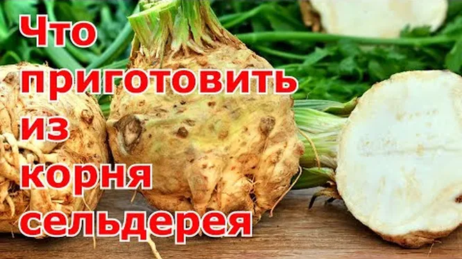 Нажми и смотри