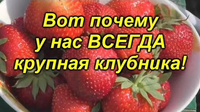 Нажми и смотри