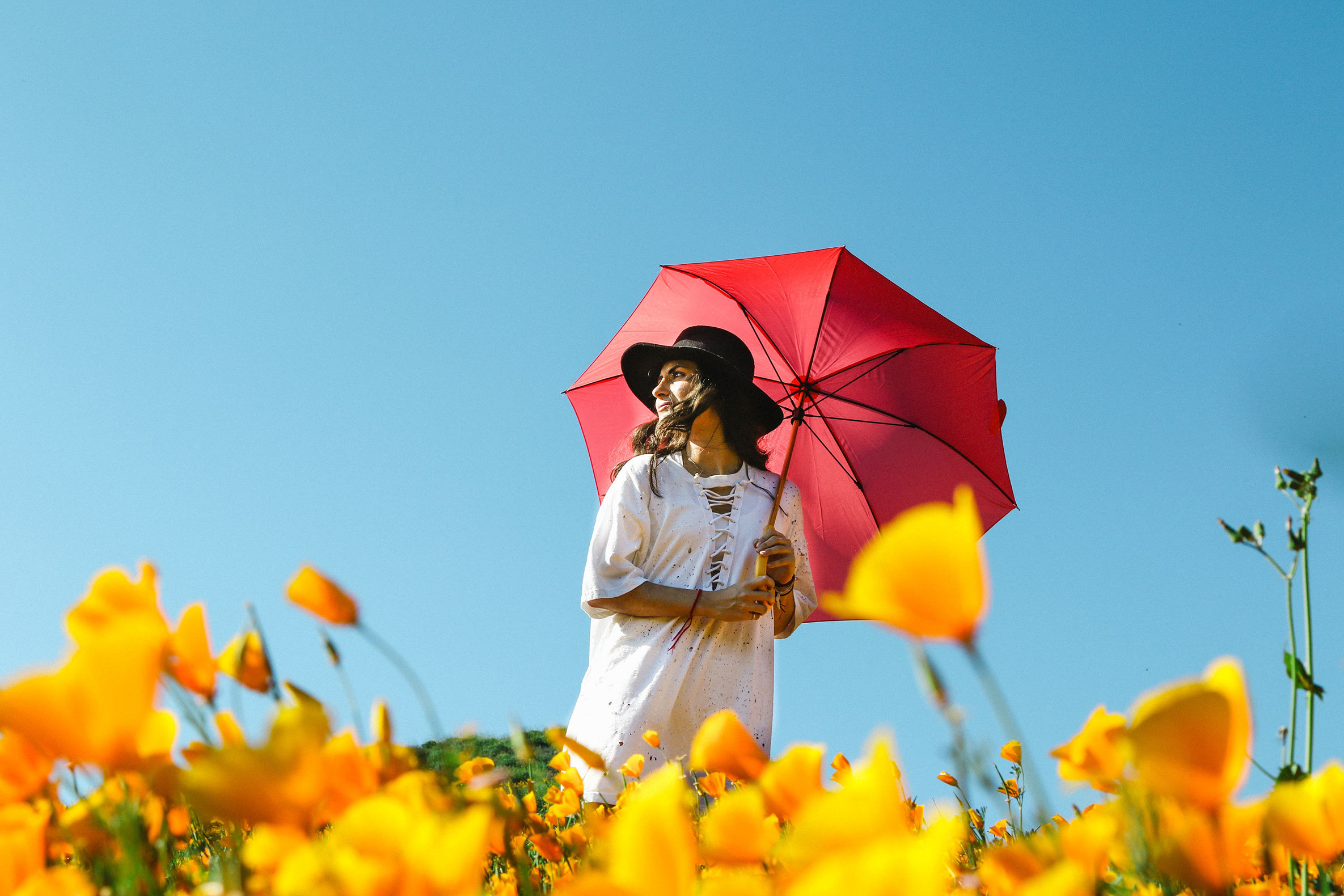 Клумба зонтик для цветов (42 фото)