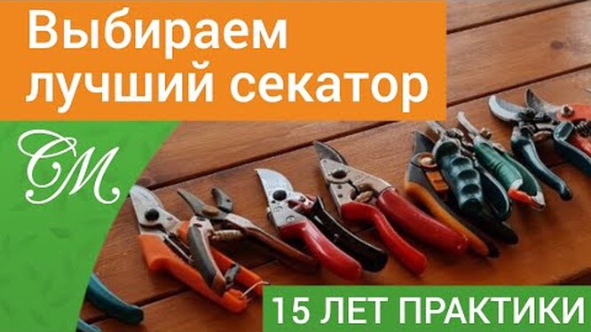 Обрезка сада – какие инструменты нужны | Дела огородные (rowser.ru)