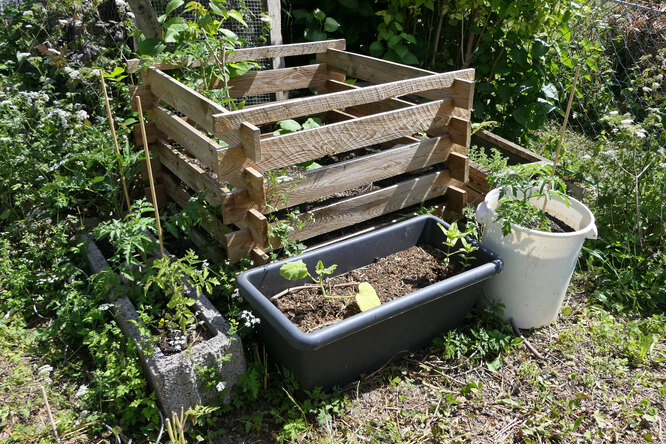 Советы огороднику: как сделать компостную яму своими руками