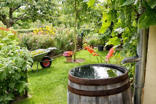 Как правильно использовать воду для полива огорода: 5 полезных советов