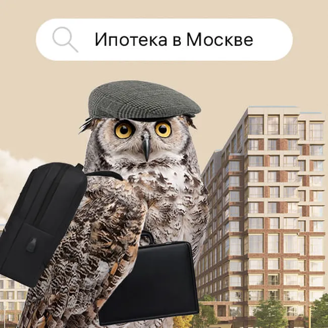 «Могут охотиться и на кошек»: в Москве появились уральские совы