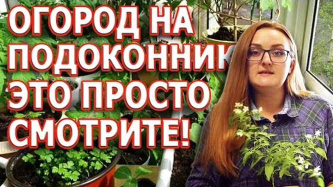 Что произойдет с организмом, если отказаться от овощей и фруктов