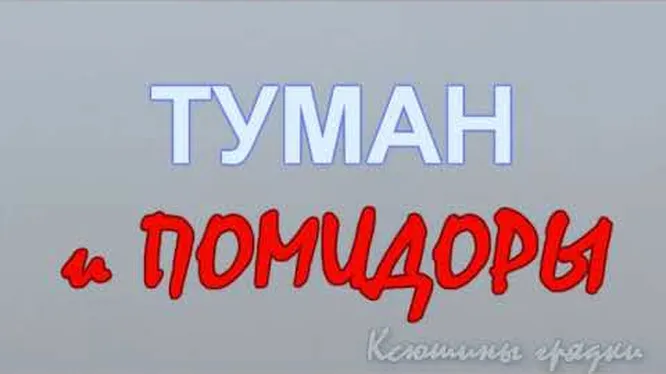 Нажми и смотри