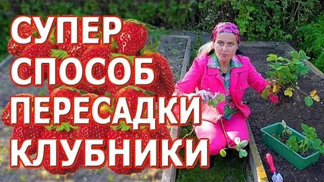 Нажми и смотри